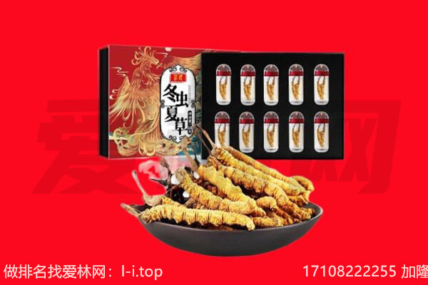 炉霍县回收虫草.jpg